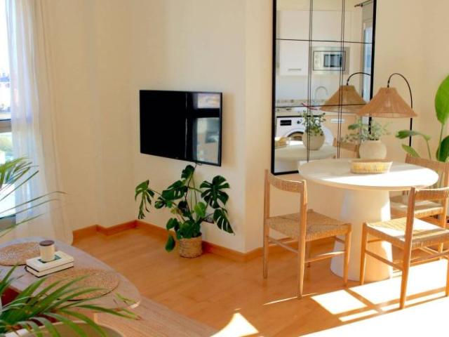 Alquiler 1 Dormitorio Apartamentos Valencia Valencia DS101810318