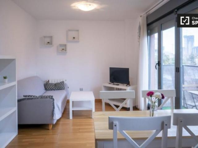 Alquiler 1 Dormitorio Apartamentos Valencia Valencia DS101822863