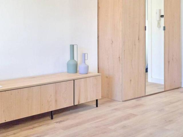 Alquiler 1 Dormitorio Apartamentos Valencia Valencia DS102055861