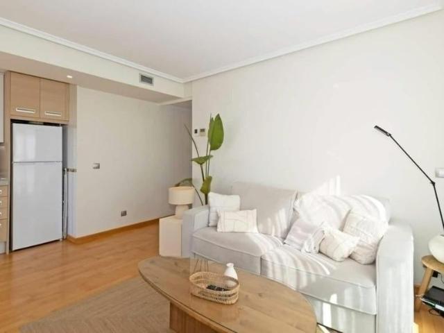 Alquiler 1 Dormitorio Apartamentos Valencia Valencia DS103244214
