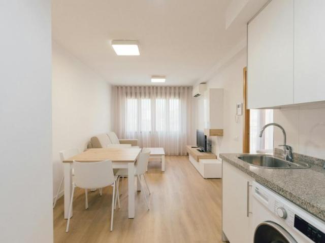 Alquiler 1 Dormitorio Apartamentos Valencia Valencia DS103488523