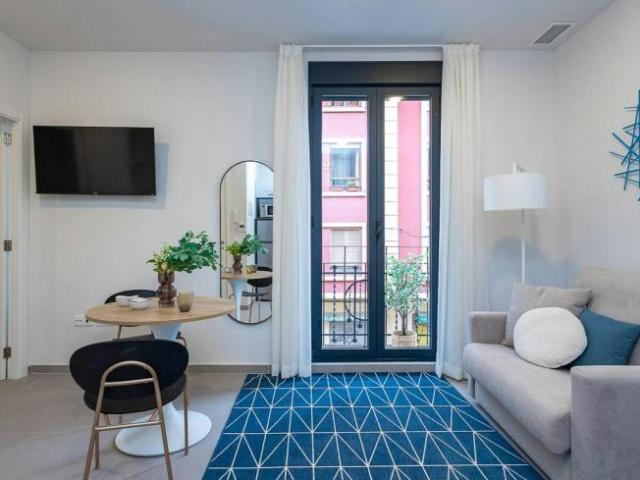 Alquiler 1 Dormitorio Apartamentos Valencia Valencia DS103543493