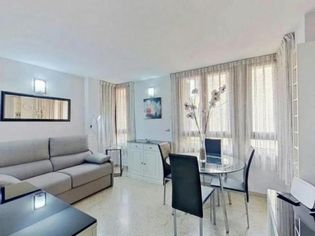 Alquiler 1 Dormitorio Apartamentos Valencia Valencia DS103695718
