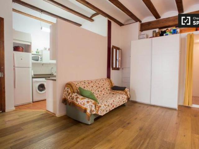 Alquiler 1 Dormitorio Apartamentos Valencia Valencia DS44531995