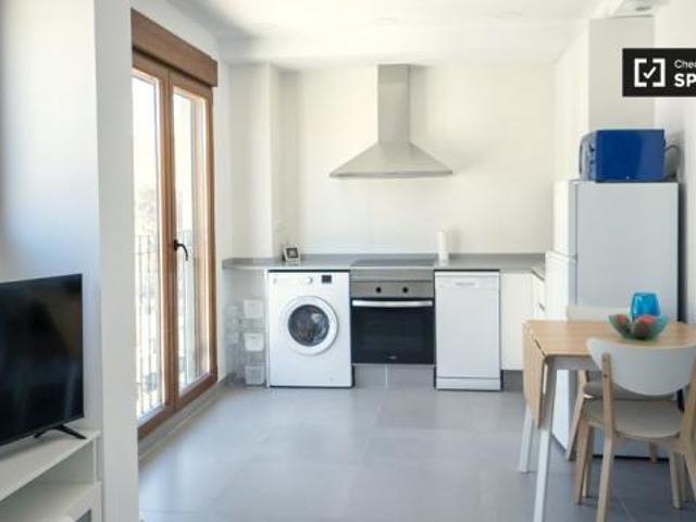 Alquiler 1 Dormitorio Apartamentos Valencia Valencia DS82222471