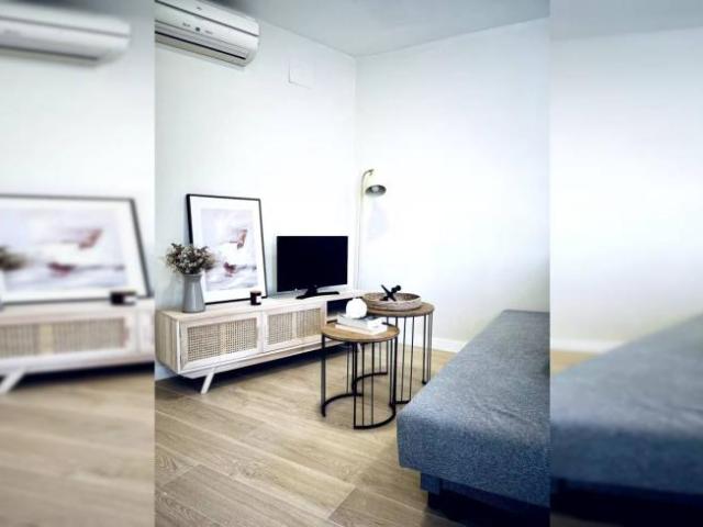 Alquiler 1 Dormitorio Apartamentos Valencia Valencia DS94420038