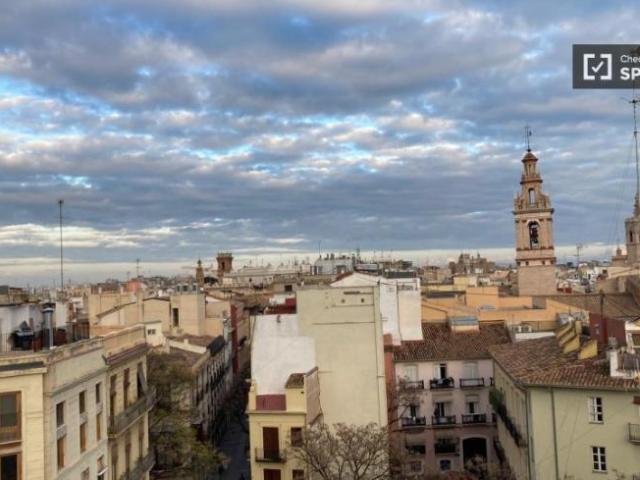 Alquiler 1 Dormitorio Apartamentos Valencia Valencia DS96031023