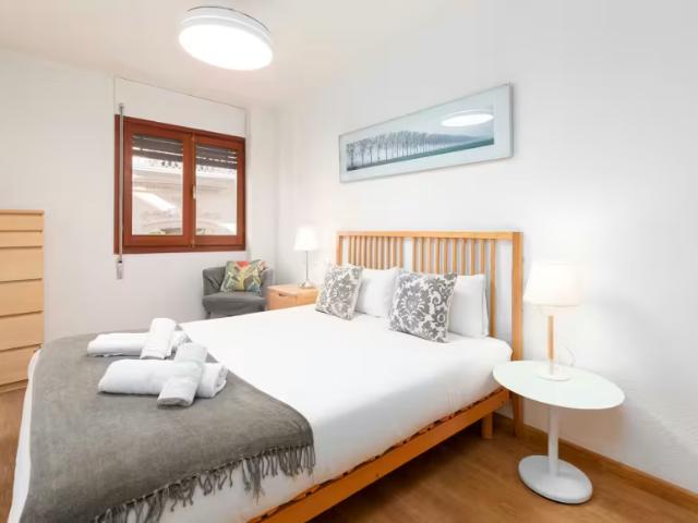 Alquiler 1 Dormitorio Apartamentos Valencia Valencia DS96345894