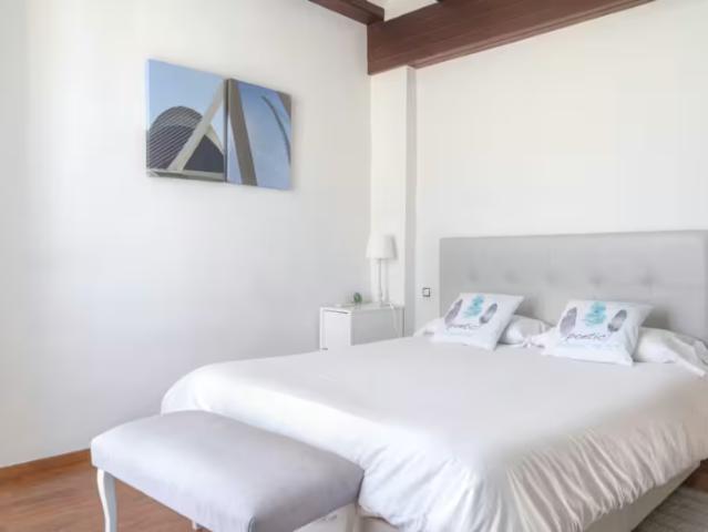 Alquiler 1 Dormitorio Apartamentos Valencia Valencia DS96383765