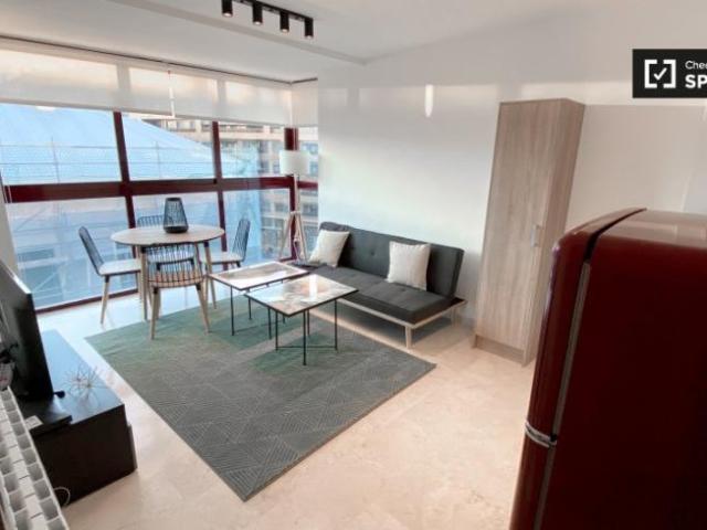 Alquiler 1 Dormitorio Apartamentos Valencia Valencia DS98922935