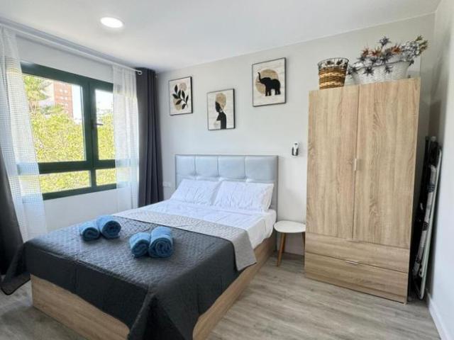 Alquiler 1 Dormitorio Apartamentos Valencia Valencia DS99384845