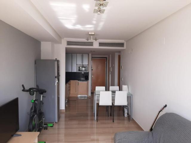 Alquiler 1 Dormitorio Apartamentos Valencia Valencia DS99388045
