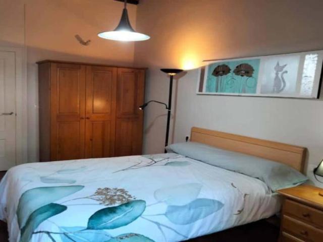 Alquiler 1 Dormitorio Apartamentos Vigo Vigo DLS101513827