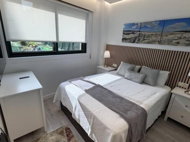 Alquiler 1 Dormitorio Apartamentos Vigo Vigo DS103372262