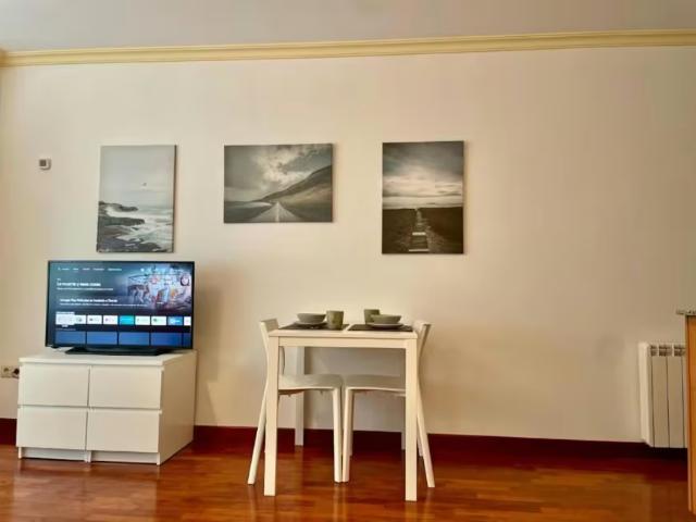 Alquiler 1 Dormitorio Apartamentos Vigo Vigo DS98537076