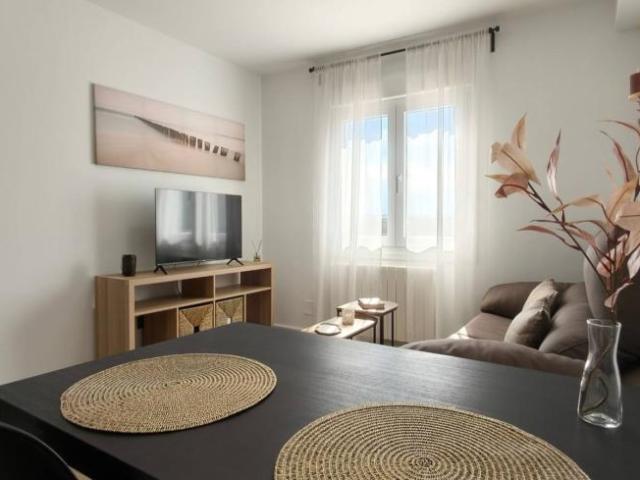 Alquiler 1 Dormitorio Apartamentos Zaragoza Zaragoza DS102886703