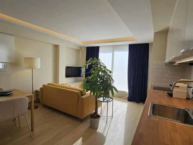 Alquiler 1 Dormitorio Atico Malaga Andalusia DLS98446434