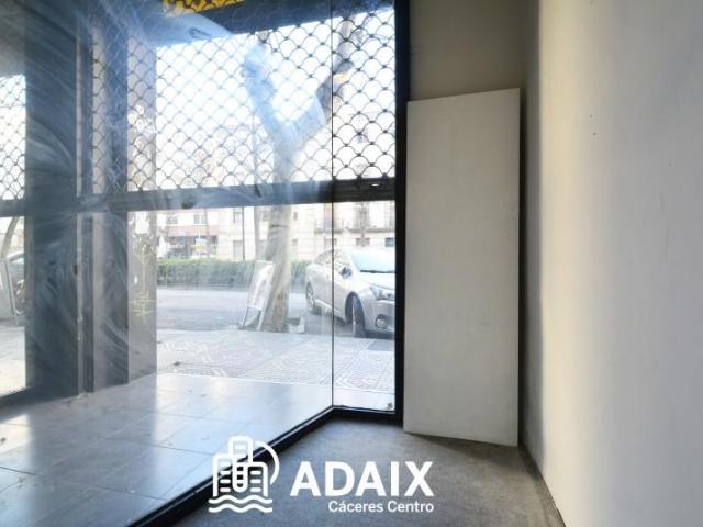 Alquiler 1 Dormitorio Negocio Cáceres Cáceres DLS99650416
