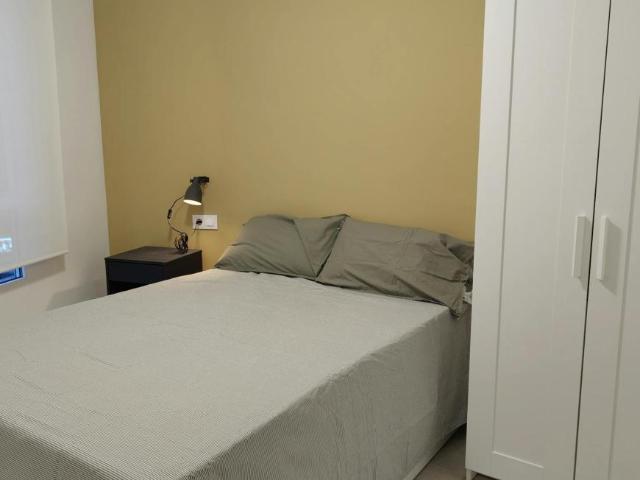 Alquiler 1 Dormitorio Shared Living/Roommate Murcia Murcia DLS100215402