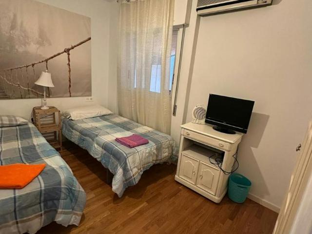 Alquiler 1 Dormitorio Shared Living/Roommate Murcia Murcia DLS93698062