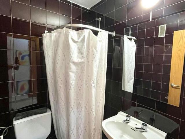Alquiler 1 Dormitorio Shared Living/Roommate Murcia Murcia DS80120649
