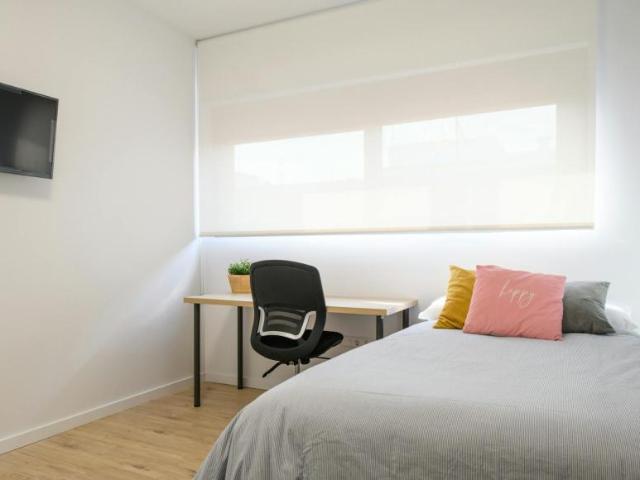 Alquiler 1 Dormitorio Shared Living/Roommate Murcia Murcia DS94641931
