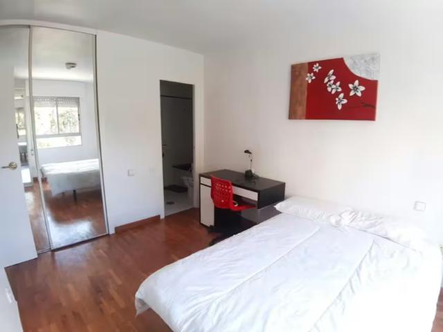 Alquiler 1 Dormitorio Shared Living/Roommate Murcia Murcia DS98539965