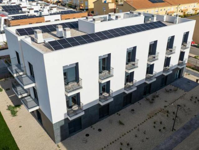 Alquiler 1 Dormitorio Shared Living/Roommate Murcia Murcia DS99188587