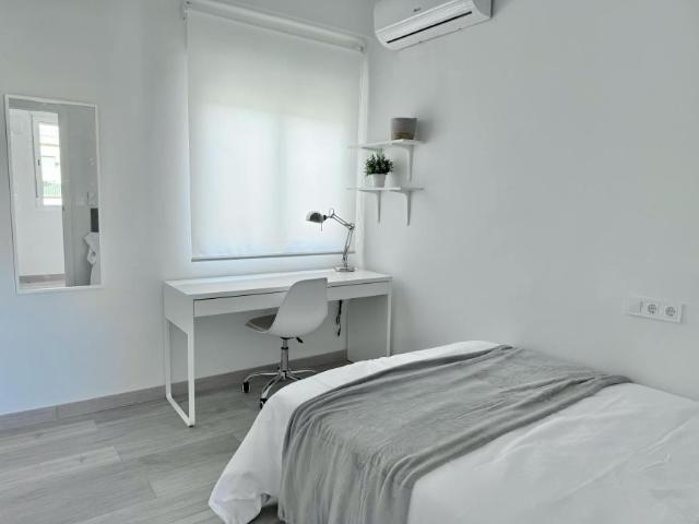 Alquiler 1 Dormitorio Shared Living/Roommate Murcia Murcia DS100215237