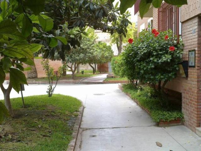 Alquiler 1 Dormitorio Shared Living/Roommate Murcia Murcia DS101761938