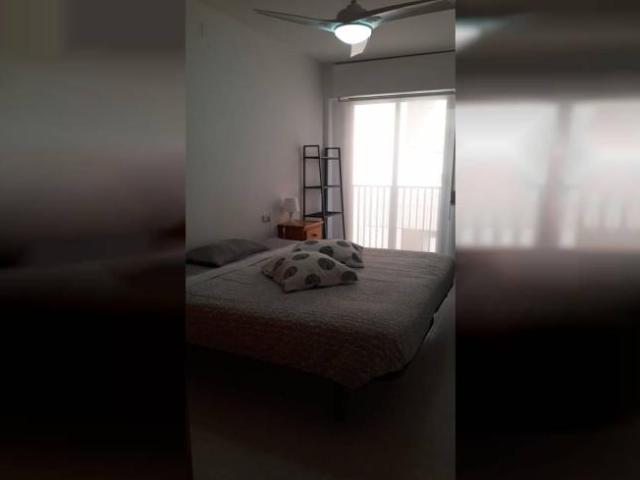 Alquiler 1 Dormitorio Shared Living/Roommate Murcia Murcia DS101788725