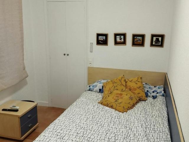 Alquiler 1 Dormitorio Shared Living/Roommate Murcia Murcia DS102522314