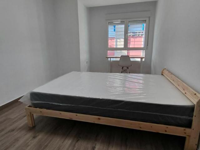 Alquiler 1 Dormitorio Shared Living/Roommate Murcia Murcia DS103595833