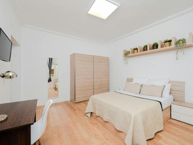 Alquiler 1 Dormitorio Shared Living/Roommate Madrid Madrid DLS100674986
