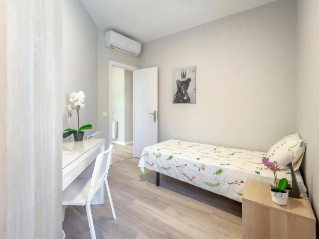 Alquiler 1 Dormitorio Shared Living/Roommate Madrid Madrid DLS100676168