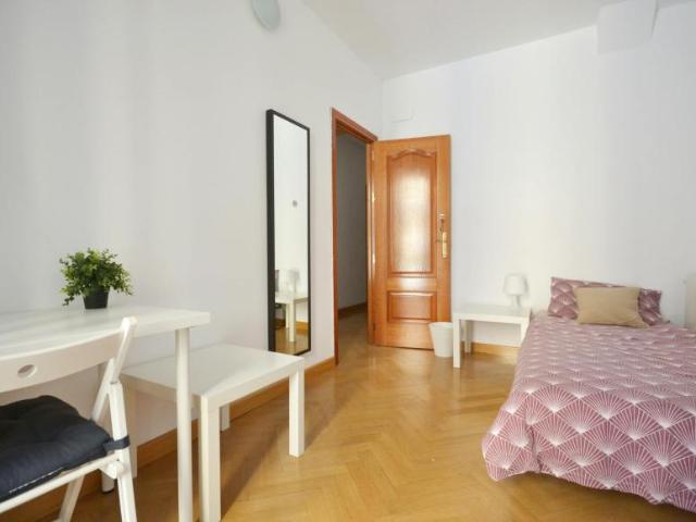 Alquiler 1 Dormitorio Shared Living/Roommate Madrid Madrid DLS100677434