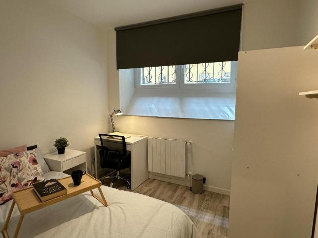Alquiler 1 Dormitorio Shared Living/Roommate Madrid Madrid DLS100717568
