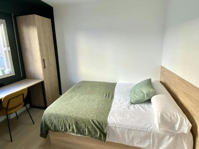 Alquiler 1 Dormitorio Shared Living/Roommate Madrid Madrid DLS100724185