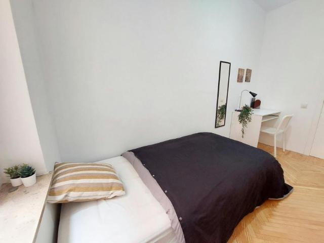 Alquiler 1 Dormitorio Shared Living/Roommate Madrid Madrid DLS100724605
