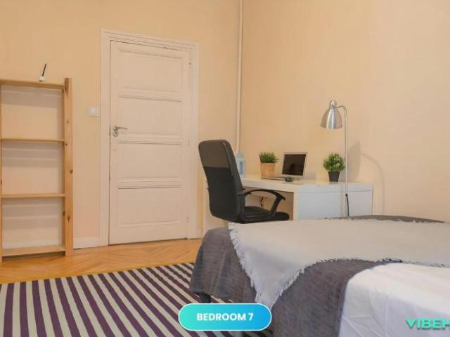 Alquiler 1 Dormitorio Shared Living/Roommate Madrid Madrid DLS100724955