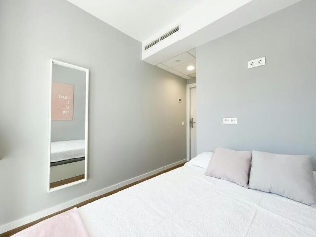 Alquiler 1 Dormitorio Shared Living/Roommate Madrid Madrid DLS100726474