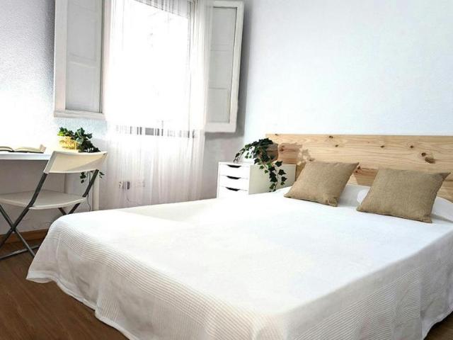 Alquiler 1 Dormitorio Shared Living/Roommate Madrid Madrid DLS100728200