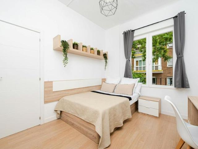 Alquiler 1 Dormitorio Shared Living/Roommate Madrid Madrid DLS100723077