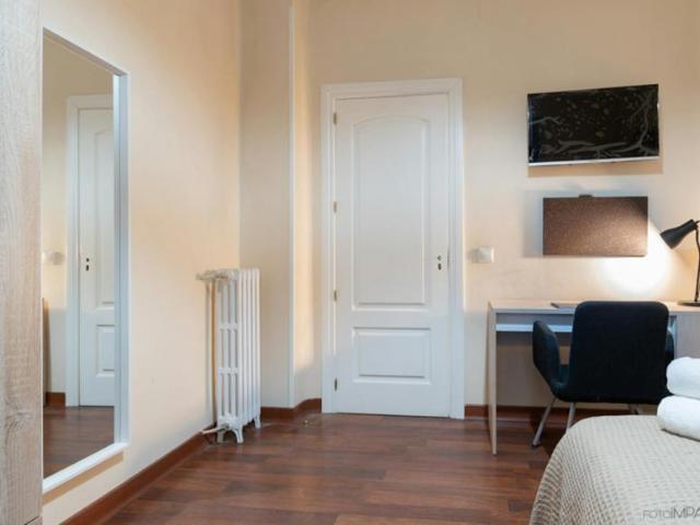 Alquiler 1 Dormitorio Shared Living/Roommate Madrid Madrid DLS100730025