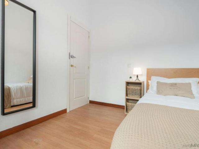 Alquiler 1 Dormitorio Shared Living/Roommate Madrid Madrid DLS100731801