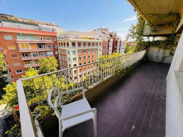 Alquiler 1 Dormitorio Shared Living/Roommate Madrid Madrid DLS101222564