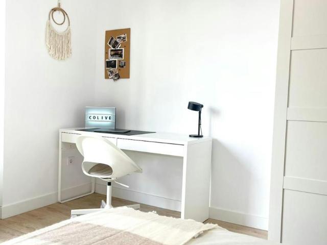 Alquiler 1 Dormitorio Shared Living/Roommate Madrid Madrid DLS101222737