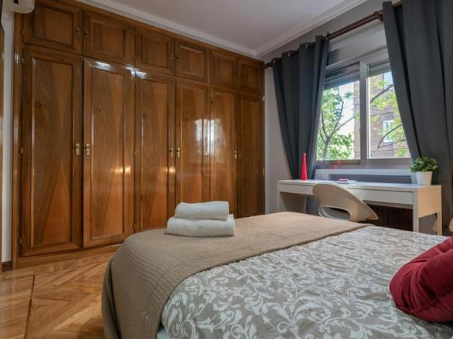 Alquiler 1 Dormitorio Shared Living/Roommate Madrid Madrid DLS101223516