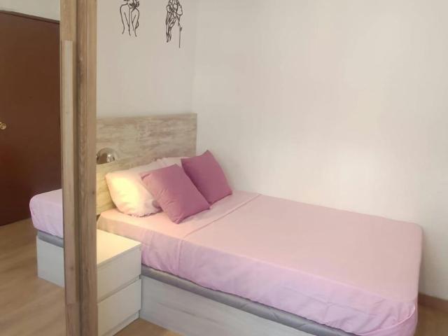Alquiler 1 Dormitorio Shared Living/Roommate Madrid Madrid DLS101839107