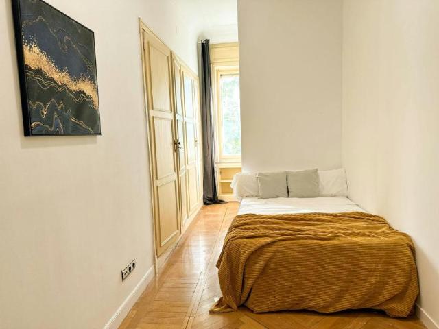Alquiler 1 Dormitorio Shared Living/Roommate Madrid Madrid DLS101844329